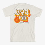 Load image into Gallery viewer, .394 Color Block Tee - Bone
